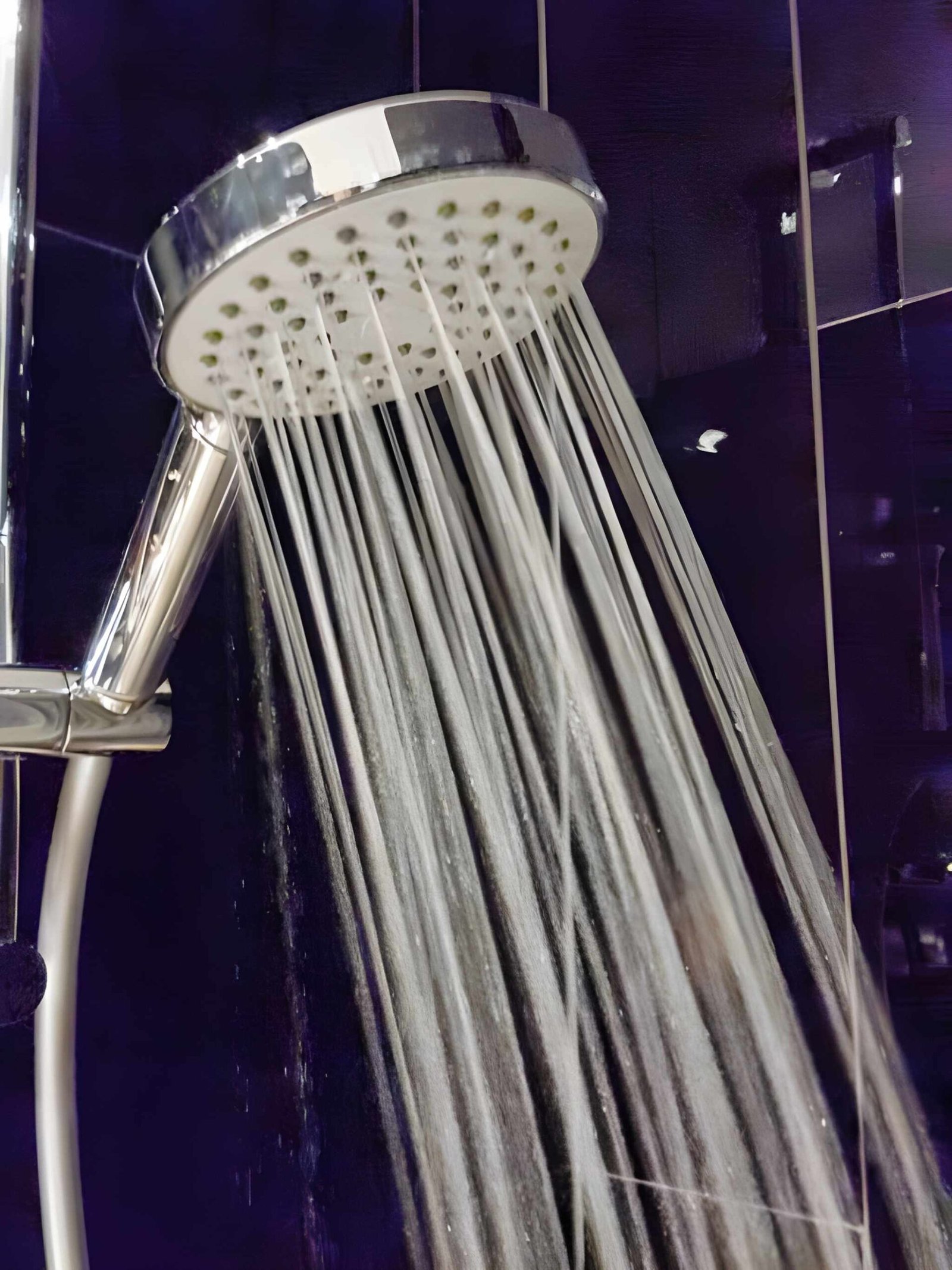 Shower Filter in Dubai